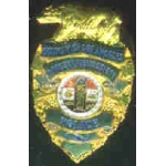LOS ANGELES COUNTY, CA OFFICE OF PUBLIC SAFETY BADGE PIN